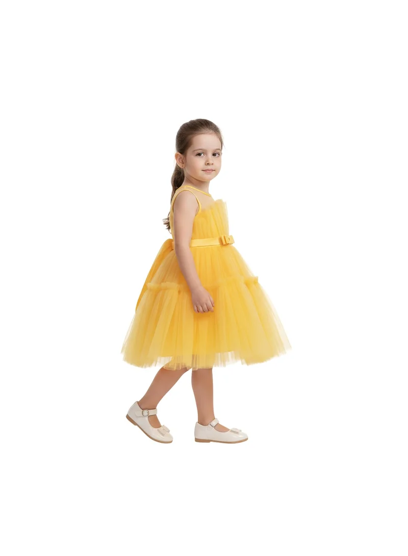 D'Daniela Layered Tulle Dress